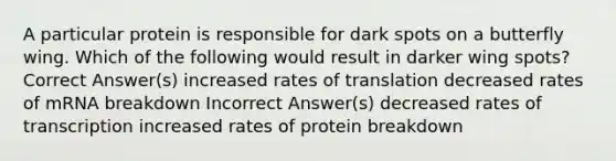 A particular protein is responsible for dark spots on a butterfly wing. Which of the following would result in darker wing spots? Correct Answer(s) increased rates of translation decreased rates of mRNA breakdown Incorrect Answer(s) decreased rates of transcription increased rates of protein breakdown