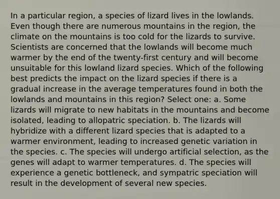 In a particular region, a species of lizard lives in the lowlands. Even though there are numerous mountains in the region, the climate on the mountains is too cold for the lizards to survive. Scientists are concerned that the lowlands will become much warmer by the end of the twenty-first century and will become unsuitable for this lowland lizard species. Which of the following best predicts the impact on the lizard species if there is a gradual increase in the average temperatures found in both the lowlands and mountains in this region? Select one: a. Some lizards will migrate to new habitats in the mountains and become isolated, leading to allopatric speciation. b. The lizards will hybridize with a different lizard species that is adapted to a warmer environment, leading to increased genetic variation in the species. c. The species will undergo artificial selection, as the genes will adapt to warmer temperatures. d. The species will experience a genetic bottleneck, and sympatric speciation will result in the development of several new species.