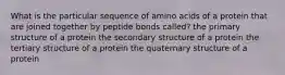 What is the particular sequence of amino acids of a protein that are joined together by peptide bonds called? the primary structure of a protein the secondary structure of a protein the tertiary structure of a protein the quaternary structure of a protein