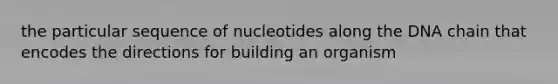 the particular sequence of nucleotides along the DNA chain that encodes the directions for building an organism