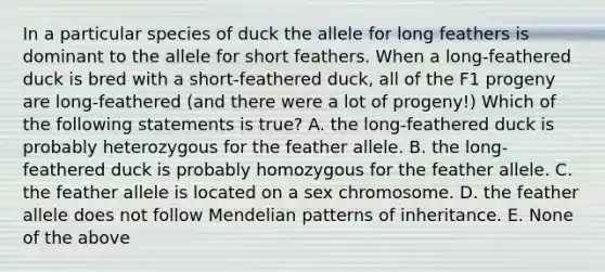 In a particular species of duck the allele for long feathers is dominant to the allele for short feathers. When a long-feathered duck is bred with a short-feathered duck, all of the F1 progeny are long-feathered (and there were a lot of progeny!) Which of the following statements is true? A. the long-feathered duck is probably heterozygous for the feather allele. B. the long-feathered duck is probably homozygous for the feather allele. C. the feather allele is located on a sex chromosome. D. the feather allele does not follow Mendelian patterns of inheritance. E. None of the above