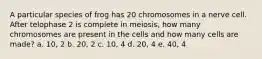 A particular species of frog has 20 chromosomes in a nerve cell. After telophase 2 is complete in meiosis, how many chromosomes are present in the cells and how many cells are made? a. 10, 2 b. 20, 2 c. 10, 4 d. 20, 4 e. 40, 4