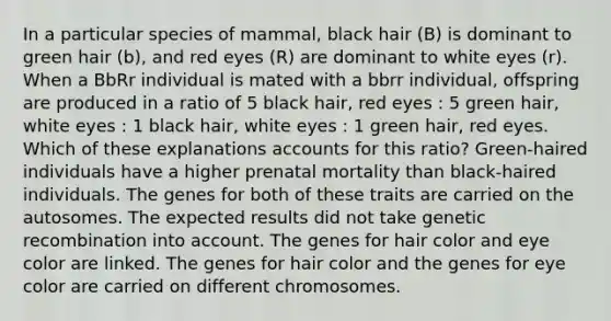 In a particular species of mammal, black hair (B) is dominant to green hair (b), and red eyes (R) are dominant to white eyes (r). When a BbRr individual is mated with a bbrr individual, offspring are produced in a ratio of 5 black hair, red eyes : 5 green hair, white eyes : 1 black hair, white eyes : 1 green hair, red eyes. Which of these explanations accounts for this ratio? Green-haired individuals have a higher prenatal mortality than black-haired individuals. The genes for both of these traits are carried on the autosomes. The expected results did not take genetic recombination into account. The genes for hair color and eye color are linked. The genes for hair color and the genes for eye color are carried on different chromosomes.