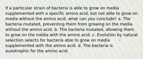 If a particular strain of bacteria is able to grow on media supplemented with a specific amino acid, but not able to grow on media without the amino acid, what can you conclude? a. The bacteria mutated, preventing them from growing on the media without the amino acid. b. The bacteria mutated, allowing them to grow on the media with the amino acid. c. Evolution by natural selection selects for bacteria able to grow on media supplemented with the amino acid. d. The bacteria is auxotrophic for the amino acid.