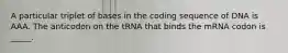 A particular triplet of bases in the coding sequence of DNA is AAA. The anticodon on the tRNA that binds the mRNA codon is _____.