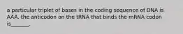 a particular triplet of bases in the coding sequence of DNA is AAA. the anticodon on the tRNA that binds the mRNA codon is_______.