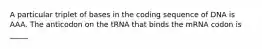 A particular triplet of bases in the coding sequence of DNA is AAA. The anticodon on the tRNA that binds the mRNA codon is _____