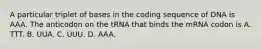 A particular triplet of bases in the coding sequence of DNA is AAA. The anticodon on the tRNA that binds the mRNA codon is A. TTT. B. UUA. C. UUU. D. AAA.