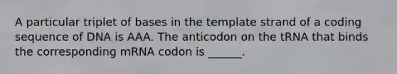 A particular triplet of bases in the template strand of a coding sequence of DNA is AAA. The anticodon on the tRNA that binds the corresponding mRNA codon is ______.