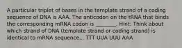 A particular triplet of bases in the template strand of a coding sequence of DNA is AAA. The anticodon on the tRNA that binds the corresponding mRNA codon is ________. Hint: Think about which strand of DNA (template strand or coding strand) is identical to mRNA sequence... TTT UUA UUU AAA