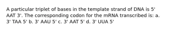 A particular triplet of bases in the template strand of DNA is 5' AAT 3'. The corresponding codon for the mRNA transcribed is: a. 3' TAA 5' b. 3' AAU 5' c. 3' AAT 5' d. 3' UUA 5'