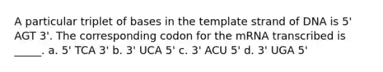 A particular triplet of bases in the template strand of DNA is 5' AGT 3'. The corresponding codon for the mRNA transcribed is _____. a. 5' TCA 3' b. 3' UCA 5' c. 3' ACU 5' d. 3' UGA 5'