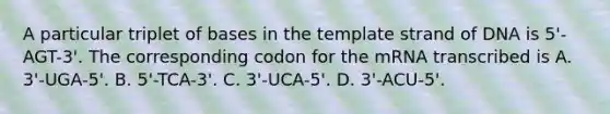 A particular triplet of bases in the template strand of DNA is 5'-AGT-3'. The corresponding codon for the mRNA transcribed is A. 3'-UGA-5'. B. 5'-TCA-3'. C. 3'-UCA-5'. D. 3'-ACU-5'.