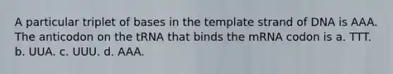 A particular triplet of bases in the template strand of DNA is AAA. The anticodon on the tRNA that binds the mRNA codon is a. TTT. b. UUA. c. UUU. d. AAA.