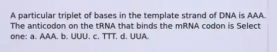 A particular triplet of bases in the template strand of DNA is AAA. The anticodon on the tRNA that binds the mRNA codon is Select one: a. AAA. b. UUU. c. TTT. d. UUA.