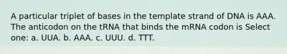 A particular triplet of bases in the template strand of DNA is AAA. The anticodon on the tRNA that binds the mRNA codon is Select one: a. UUA. b. AAA. c. UUU. d. TTT.