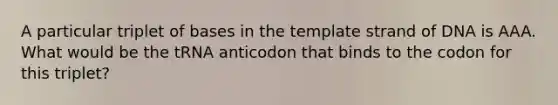 A particular triplet of bases in the template strand of DNA is AAA. What would be the tRNA anticodon that binds to the codon for this triplet?