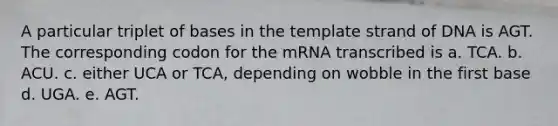 A particular triplet of bases in the template strand of DNA is AGT. The corresponding codon for the mRNA transcribed is a. TCA. b. ACU. c. either UCA or TCA, depending on wobble in the first base d. UGA. e. AGT.