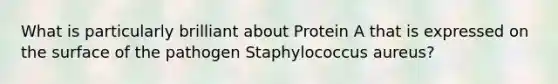 What is particularly brilliant about Protein A that is expressed on the surface of the pathogen Staphylococcus aureus?