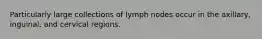 Particularly large collections of lymph nodes occur in the axillary, inguinal, and cervical regions.