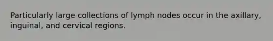 Particularly large collections of lymph nodes occur in the axillary, inguinal, and cervical regions.