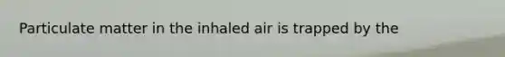 Particulate matter in the inhaled air is trapped by the