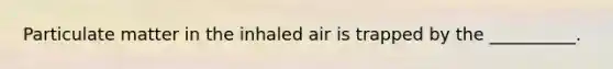 Particulate matter in the inhaled air is trapped by the __________.