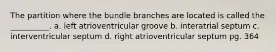 The partition where the bundle branches are located is called the __________. a. left atrioventricular groove b. interatrial septum c. interventricular septum d. right atrioventricular septum pg. 364