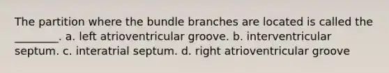 The partition where the bundle branches are located is called the ________. a. left atrioventricular groove. b. interventricular septum. c. interatrial septum. d. right atrioventricular groove