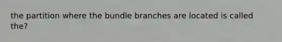 the partition where the bundle branches are located is called the?