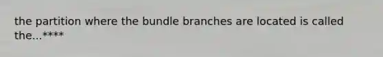 the partition where the bundle branches are located is called the...****