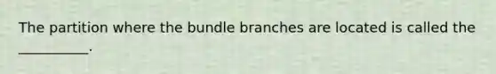 The partition where the bundle branches are located is called the __________.