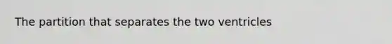 The partition that separates the two ventricles