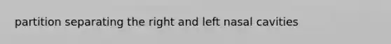 partition separating the right and left nasal cavities