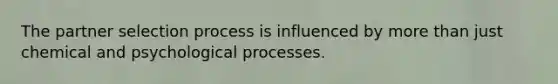 The partner selection process is influenced by more than just chemical and psychological processes.