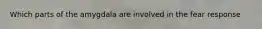 Which parts of the amygdala are involved in the fear response