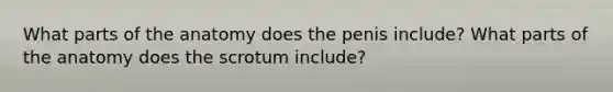 What parts of the anatomy does the penis include? What parts of the anatomy does the scrotum include?