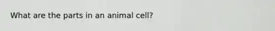 What are the parts in an animal cell?