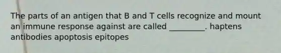 The parts of an antigen that B and T cells recognize and mount an immune response against are called _________. haptens antibodies apoptosis epitopes