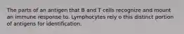 The parts of an antigen that B and T cells recognize and mount an immune response to. Lymphocytes rely o this distinct portion of antigens for identification.