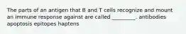 The parts of an antigen that B and T cells recognize and mount an immune response against are called _________. antibodies apoptosis epitopes haptens