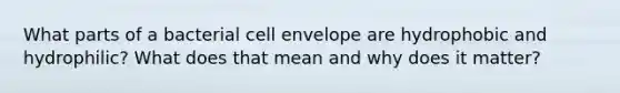 What parts of a bacterial cell envelope are hydrophobic and hydrophilic? What does that mean and why does it matter?