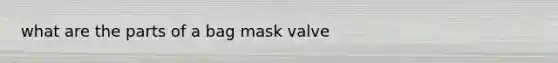 what are the parts of a bag mask valve