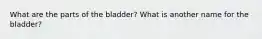 What are the parts of the bladder? What is another name for the bladder?