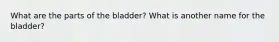 What are the parts of the bladder? What is another name for the bladder?