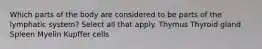 Which parts of the body are considered to be parts of the lymphatic system? Select all that apply. Thymus Thyroid gland Spleen Myelin Kupffer cells