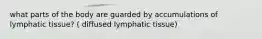 what parts of the body are guarded by accumulations of lymphatic tissue? ( diffused lymphatic tissue)