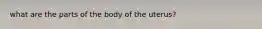 what are the parts of the body of the uterus?