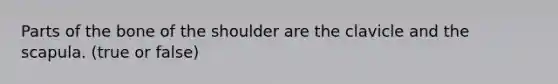 Parts of the bone of the shoulder are the clavicle and the scapula. (true or false)