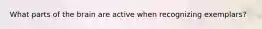 What parts of the brain are active when recognizing exemplars?